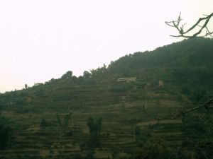 太忠鄉電塘自然村