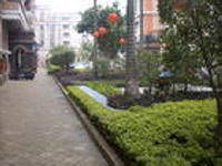 深圳市怡景國小