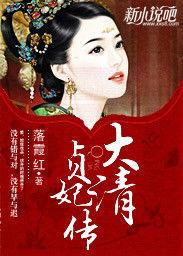 大清貞妃傳 大清貞妃傳