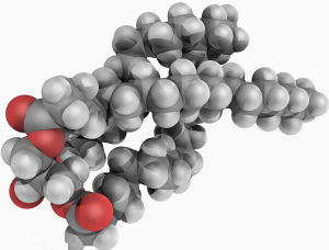 三醯甘油 三醯甘油