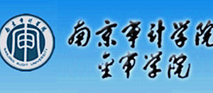 南京審計學院金審學院