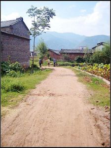 羅營觀音村 羅營觀音村