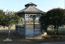 中央公園[上海中央公園]