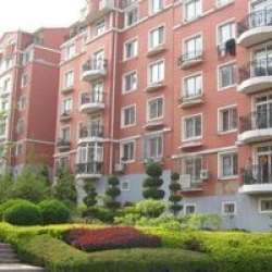 泡崖八區 泡崖八區