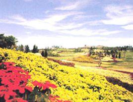 深圳龍崗植物園 深圳龍崗植物園