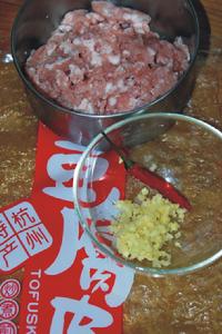 香酥腐皮卷 香酥腐皮卷