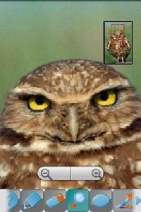 繪畫分享 繪畫分享