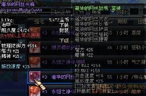 奢華的網絲長褲