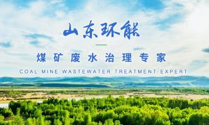 山東環能環保科技有限公司 山東環能環保科技有限公司