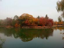 未名湖秋之韻味