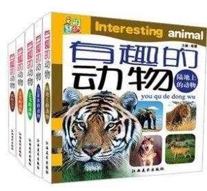 有趣的動物 有趣的動物