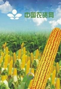 中國農資網 中國農資網