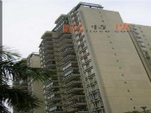 錦繡檸溪實景圖