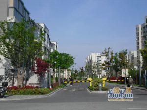 新城盛景 新城盛景