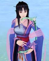 沉香芙蓉琴 沉香芙蓉琴