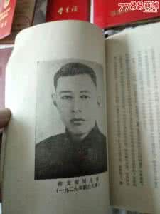 王棣明 王棣明