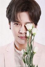 心愛的[2017年徐海喬、賈青主演電視劇]