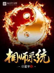 相師系統 相師系統