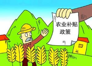 土地保護政策 土地保護政策