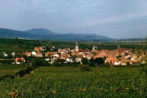 布爾江群 布爾江群