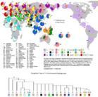 （圖）基因圖譜