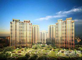 銀基王朝四期 銀基王朝四期