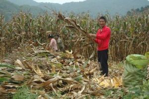 下鍋廠村 下鍋廠村