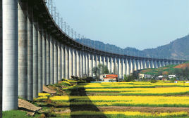 黃龍鎮[湖北省十堰市張灣區黃龍鎮]