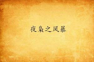 夜梟之風暴 夜梟之風暴
