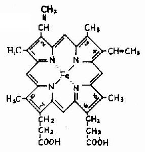 抗瘤新芥 抗瘤新芥