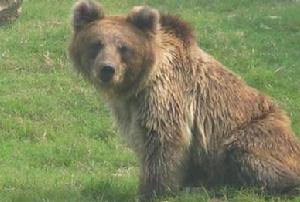 浦口珍珠泉野生動物生態園