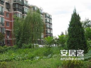 東湖別墅 東湖別墅