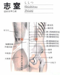 志室穴 志室穴
