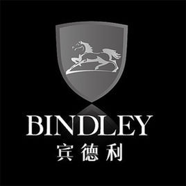 賓德利 賓德利