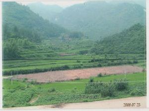 安徽大別山靈芝基地