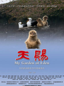 《天賜》[電影]