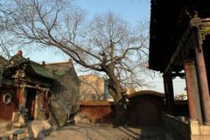 黃花城村 黃花城村