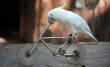 Xishuangbanna Dai Autonomous Prefecture