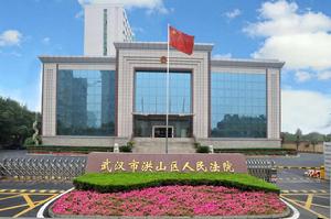 湖北省武漢市洪山區人民法院 湖北省武漢市洪山區人民法院