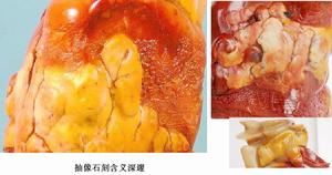 抽像石刻含義深邃