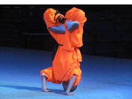 童子功[少林童子功]