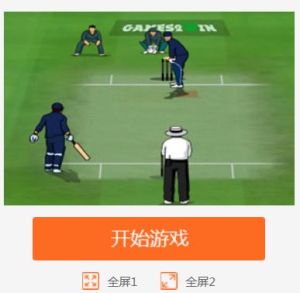 板球本壘打 板球本壘打