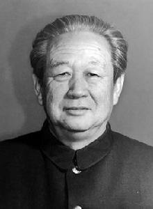 宋國臣[河南省人大常委會原副主任]