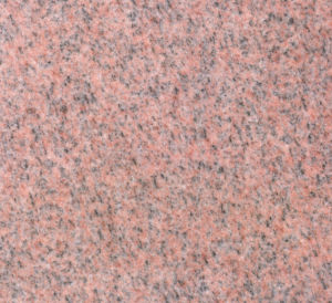 新莎利士紅 | New Salisbury Pink |