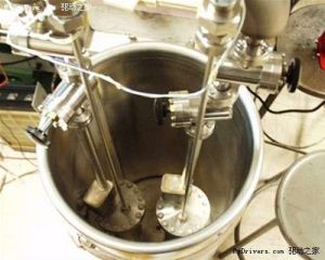 弗萊西曼-龐斯實驗 弗萊西曼-龐斯實驗