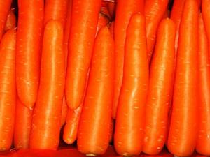 木龍觀紅蘿蔔(木龍觀胡蘿蔔) 木龍觀紅蘿蔔(木龍觀胡蘿蔔)