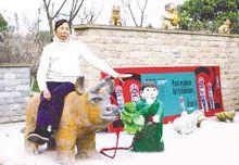 鄔良英坐在牛背上