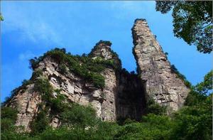 神鷹護鞭 神鷹護鞭