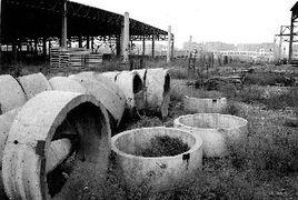 中策現象 中策現象