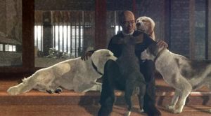 狗狗傷心志 狗狗傷心志